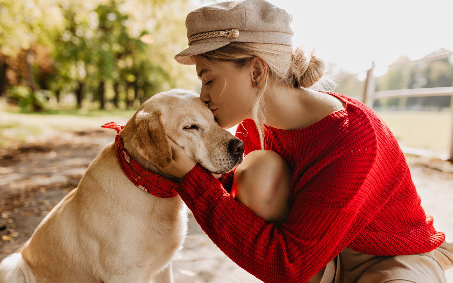 Hond uit het buitenland adopteren; wat komt erbij kijken?