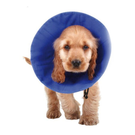 Kvp Lampenkap Voor Honden Kvp Ez Soft Blauw (18-38 Cm)