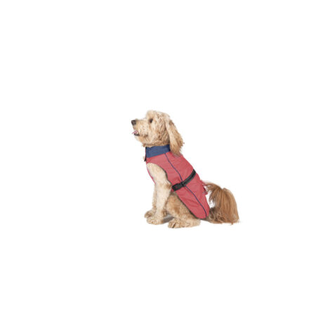 Dog Gone Smart Hondenregenjas Dog Gone Smart Koraal 50 Cm