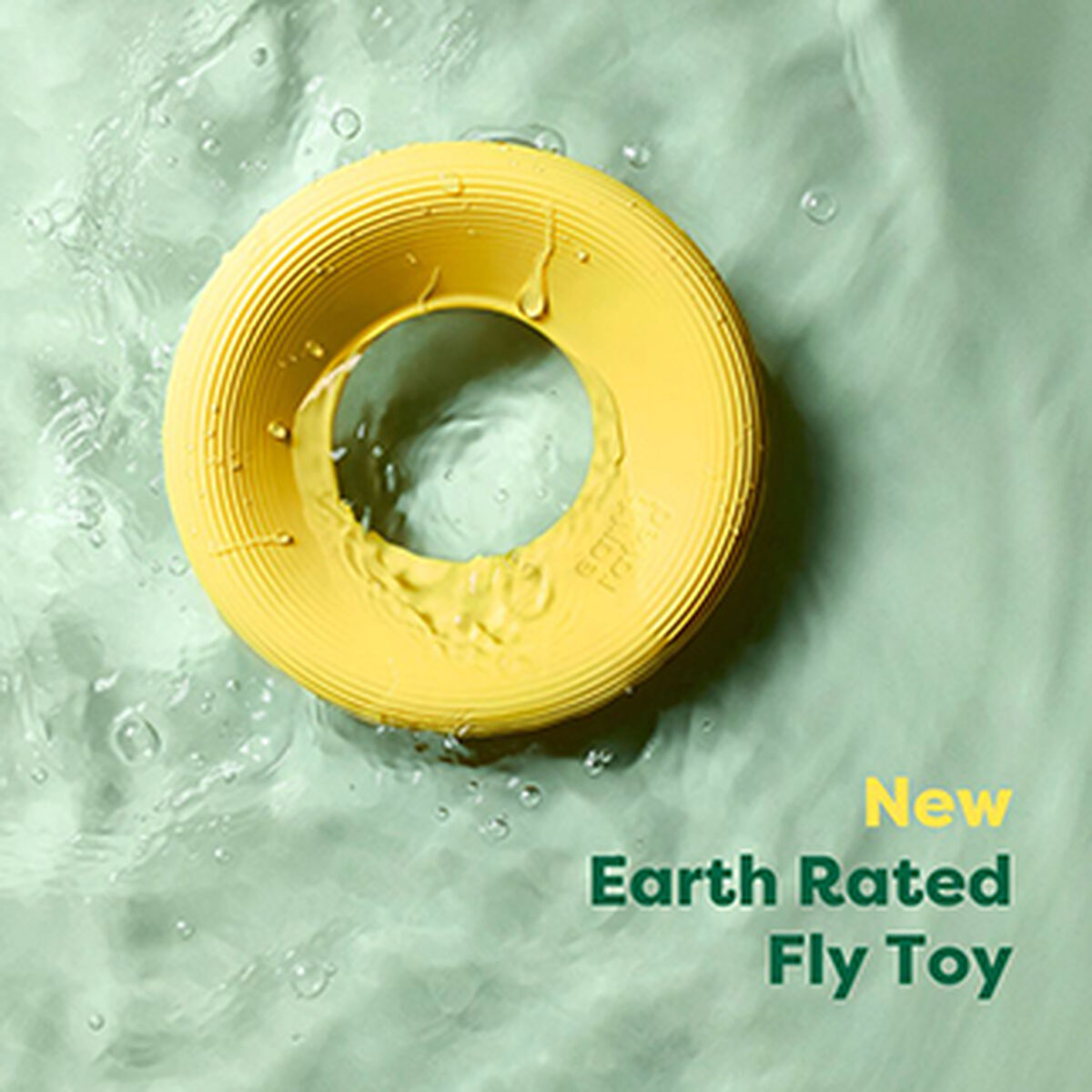 RRP Toy Assets - IG_New_Fly Float