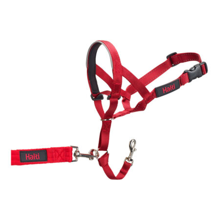 Company Of Animals Trainingshalsbanden Voor Honden Company Of Animals Halti Muilkorf (31-40 Cm)