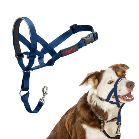 Company Of Animals Muilkorf Company Of Animals Cobalt Blauw 2