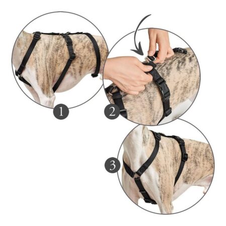 Hunter Hondentuigje Hunter 48-70 Cm Zwart S/M