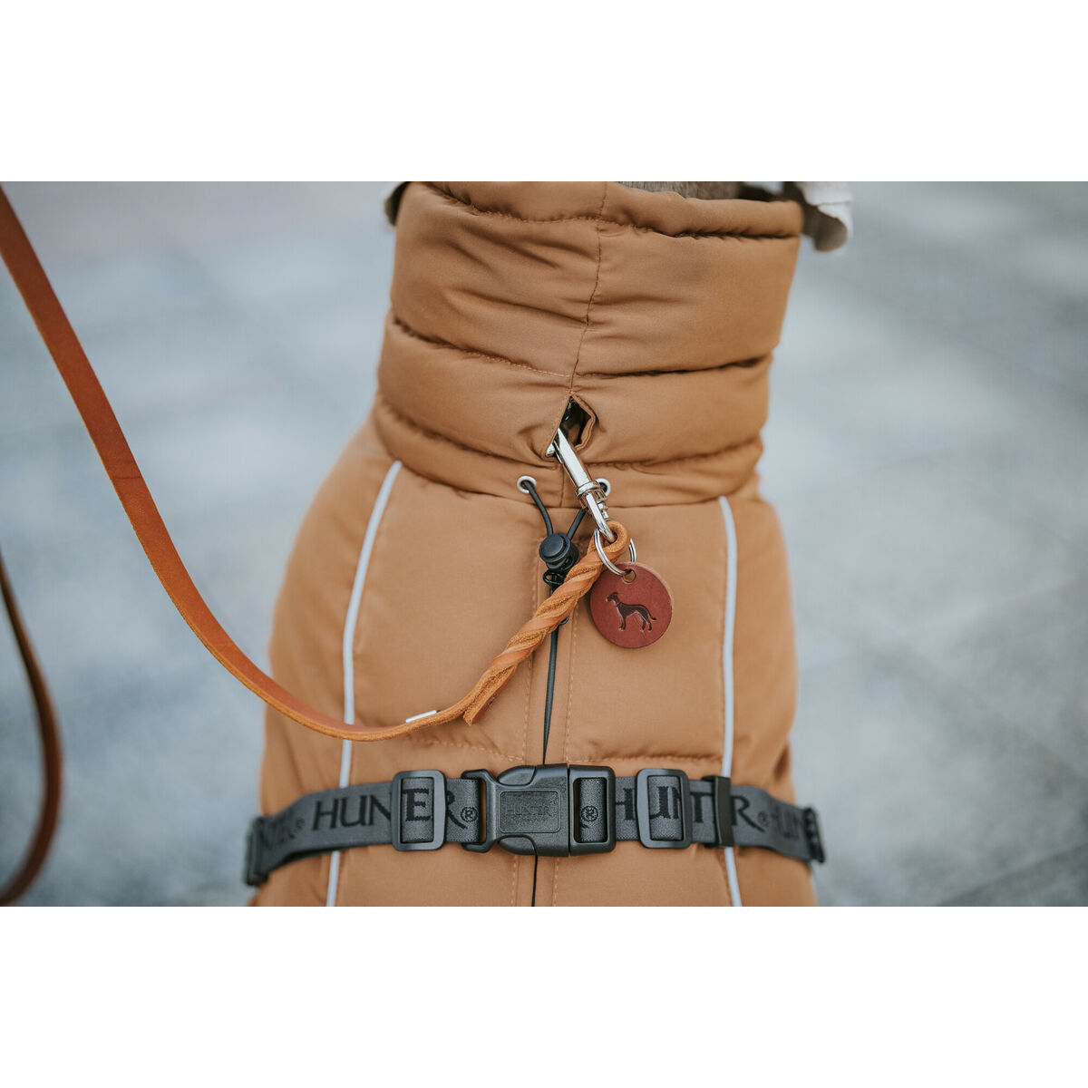 203448, 203449, 203450, 203451, 203452, 203453, 203454, 203455, 203456, 203457, 203458, 203459, 203508, 203509, 203510, 203511, 203516, 203517, 203518, 203519