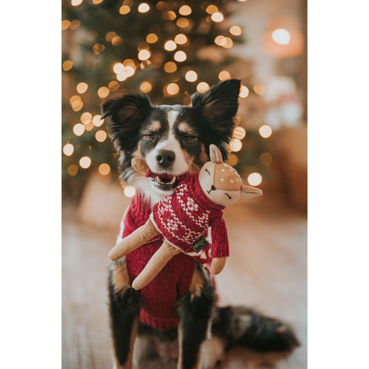 204377, 203468, 203469, 203470, 203471, 203472, 203473, 203474, 203475