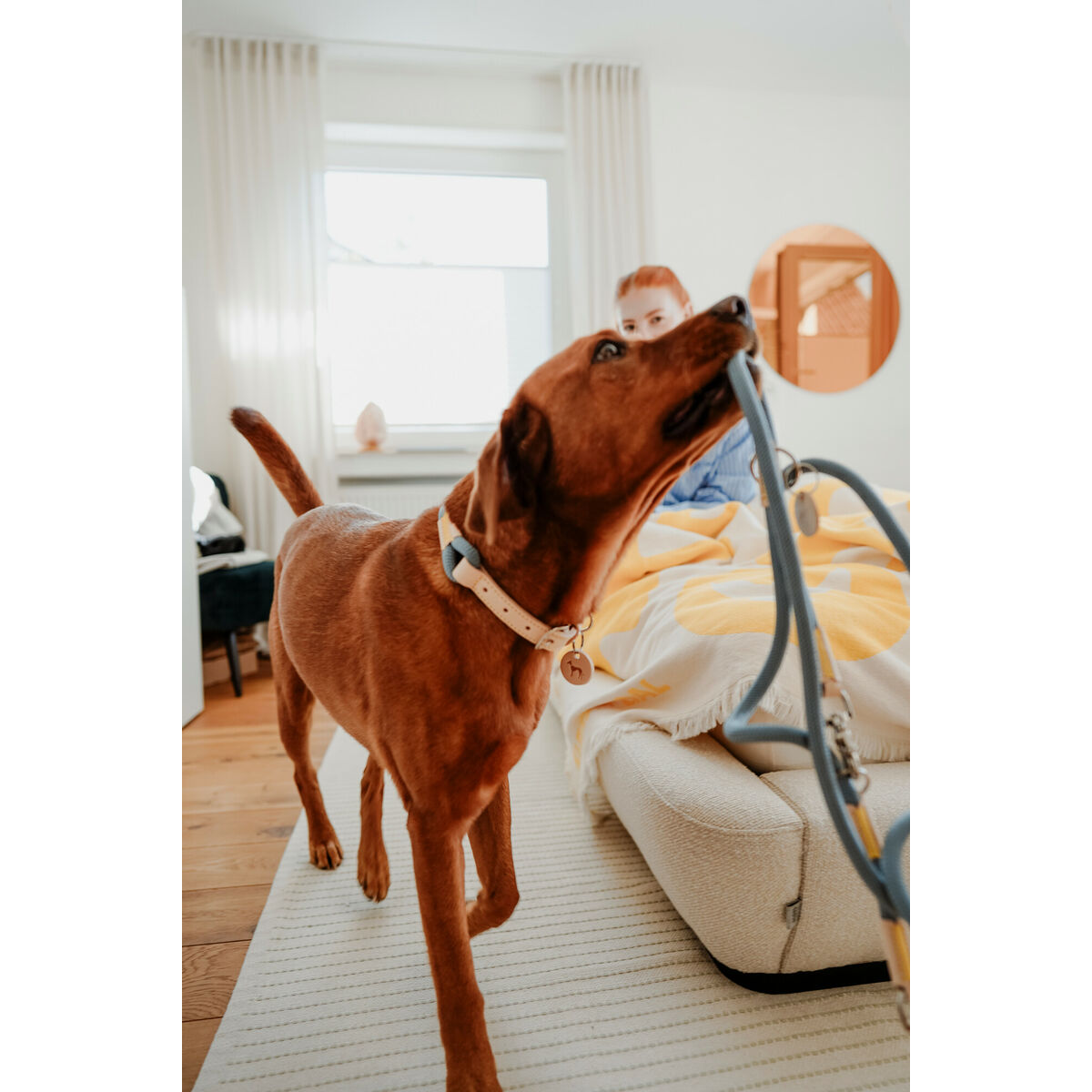 205041; 205042; 205043; 205044; 205045