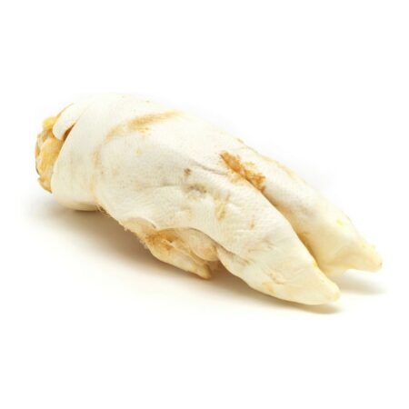 Gloria Snack Voor Honden Gloria Varken Voeten