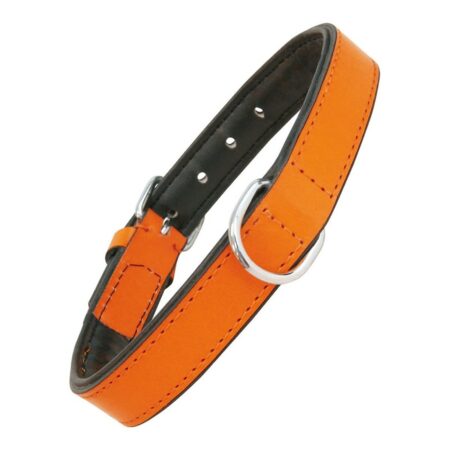 Gloria Hondenhalsband Gloria Gestoffeerd Oranje (55 Cm) (55 X 2,5 Cm)