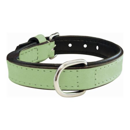 Gloria Hondenhalsband Gloria Gestoffeerd Groen (35 Cm) (35 X 1,5 Cm)