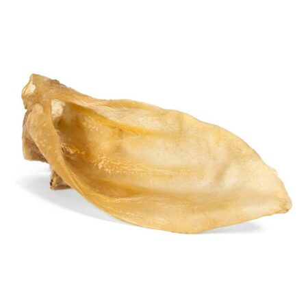 Gloria Lamsoren Gloria Oren Lam