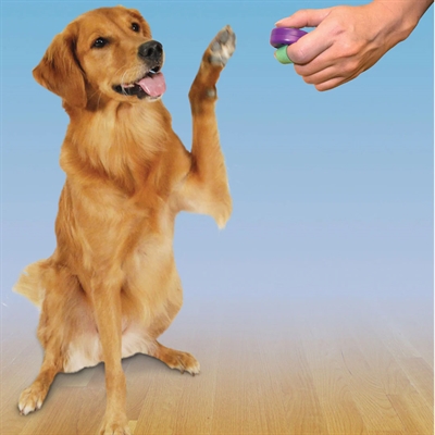 Clik-R Petsafe Clicker Voor Training - Image 3