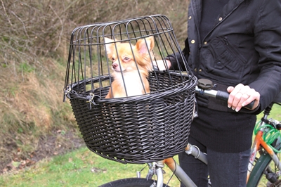 Trixie Wilgen Fietsmand Voorop Zwart Met Kussen En Kap 50X35X41 Cm - Image 9