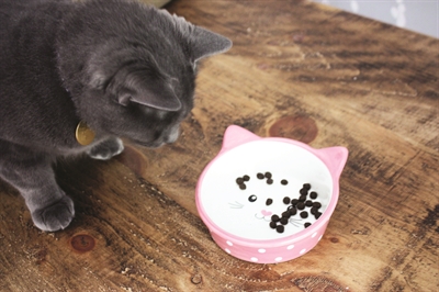 Happy Pet Voerbak Kat Polka Roze / Creme 300 Ml - Image 2