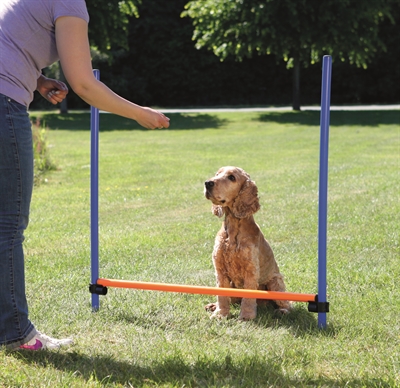 Trixie Dog Activity Agility Horde Blauw / Oranje 123X115X3 Cm - Image 2