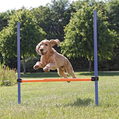 Trixie Dog Activity Agility Horde Blauw / Oranje 123X115X3 Cm - Image 3