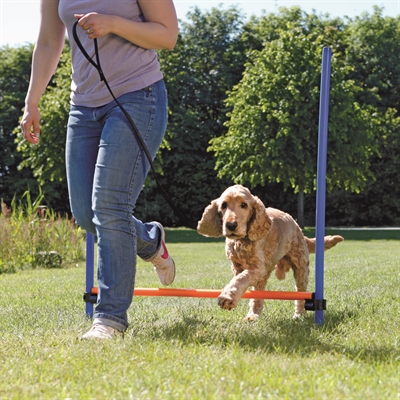 Trixie Dog Activity Agility Horde Blauw / Oranje 123X115X3 Cm - Image 4