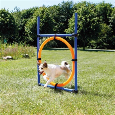 Trixie Dog Activity Agility Ring Blauw / Oranje 65X3X115 Cm - Image 2
