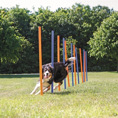 Trixie Dog Activity Agility Slalom Stokken Blauw / Oranje 115X3 Cm 12 St - Image 5