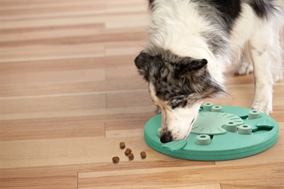 Nina Ottosson Dog Worker Composiet 34,5X34,5X5 Cm - Image 5