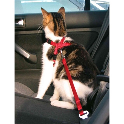 Trixie Kattentuig Voor In De Auto Rood 20-50X1,5 Cm - Image 9