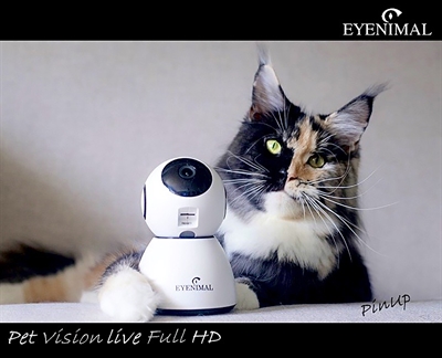 Eyenimal Pet Vision Live Hd Camera Met Geluidsdetectie - Image 4