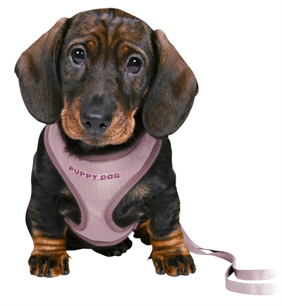 Trixie Junior Puppytuig Soft Met Riem Lila 26-34X1 Cm / 2 Mtr - Image 2