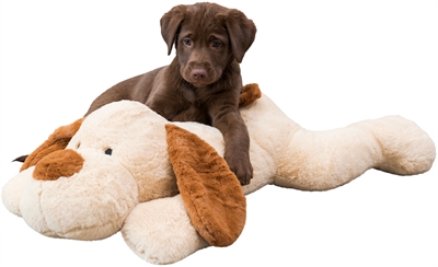 Trixie Knuffel Hondbenny Pluche Beige / Bruin 75 Cm - Image 10