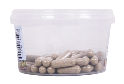 Dierendrogist Echinacea Bio Capsules 50 St - Image 3