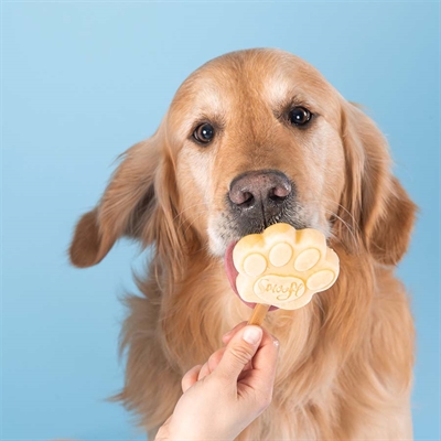 Smoofl Ijsmix Voor Honden Pindakaas 160 Gr - Image 4