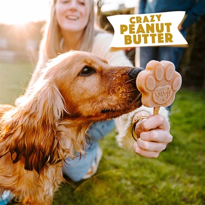 Smoofl Ijsmix Voor Honden Pindakaas 160 Gr - Image 5