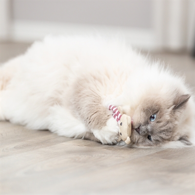 Trixie Beer Stof Met Catnip 12 Cm - Image 11