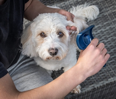Mikki Doodle Grooming Kit Met Kam En Slickerborstel - Image 6