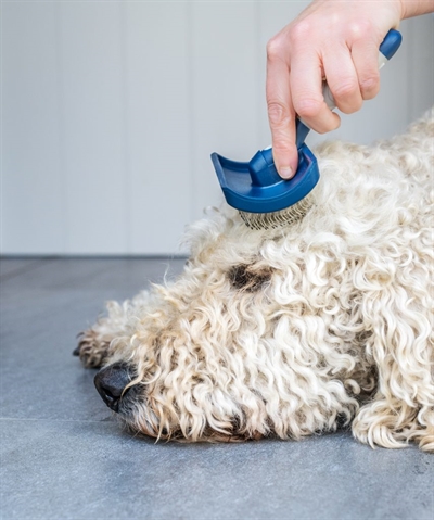 Mikki Doodle Grooming Kit Met Kam En Slickerborstel - Image 7