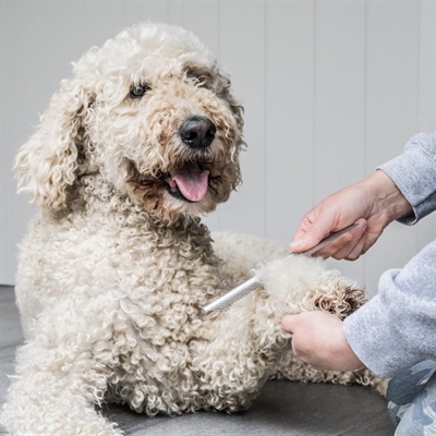 Mikki Doodle Grooming Kit Met Kam En Slickerborstel - Image 8