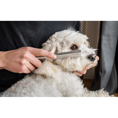 Mikki Doodle Grooming Kit Met Kam En Slickerborstel - Image 9