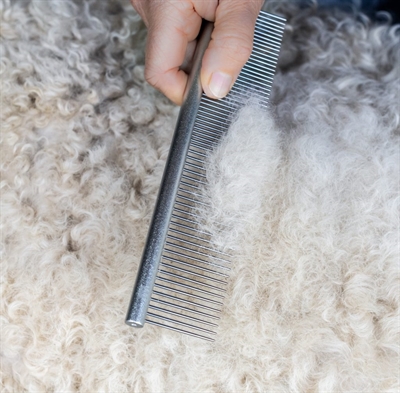 Mikki Doodle Grooming Kit Met Kam En Slickerborstel - Image 10