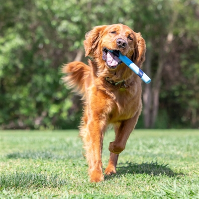 Chuckit Sniff Fetch Stick Bacongeur 28X3X2,5 Cm - Image 5