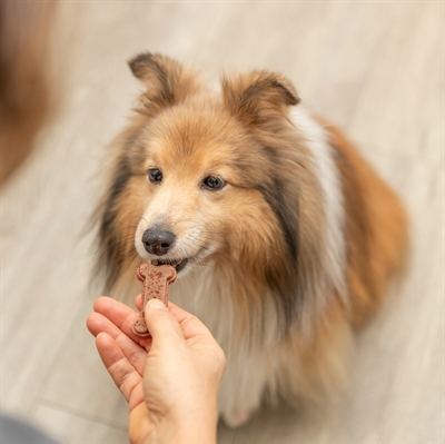 Trixie Bakmat Voor Dierensnacks Botvorm Bpa Vrij Grijs 24X29 Cm - Image 9