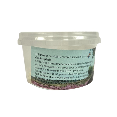 Dierendrogist Foliumzuur Vitamine B12 100 Tbl - Image 3