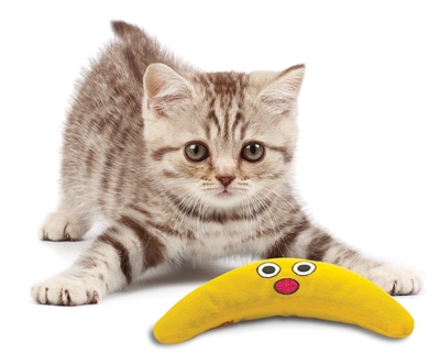 Petstages Green Magic Boomerang Buddy 23,5X10X4 Cm - Image 3