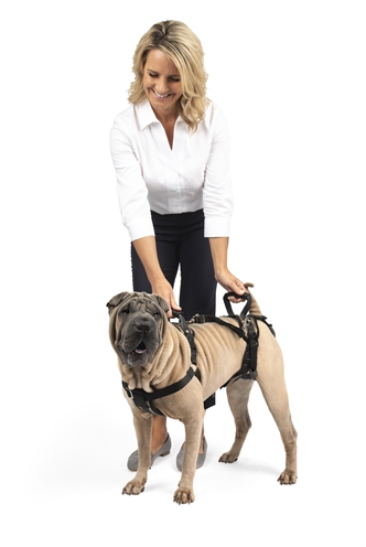 Solvit Petsafe Carelift Voor En Achter Medium - Image 5